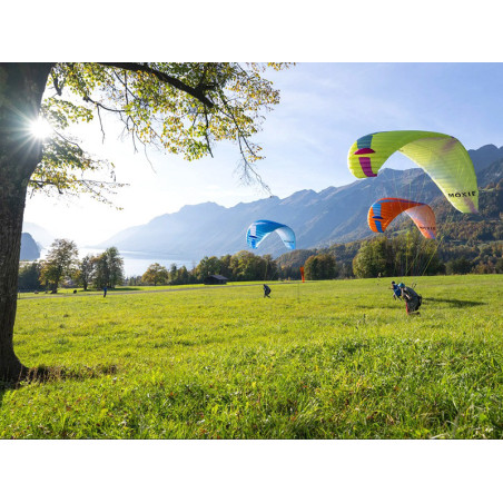 Horizon Millau - Moxie Ozone