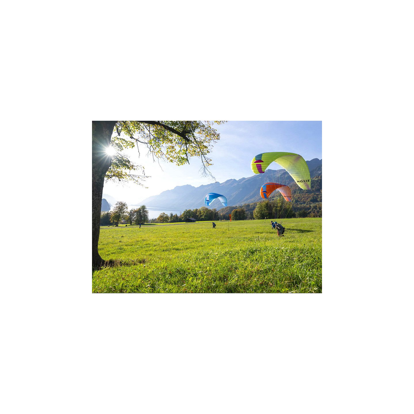 Horizon Millau - Moxie Ozone