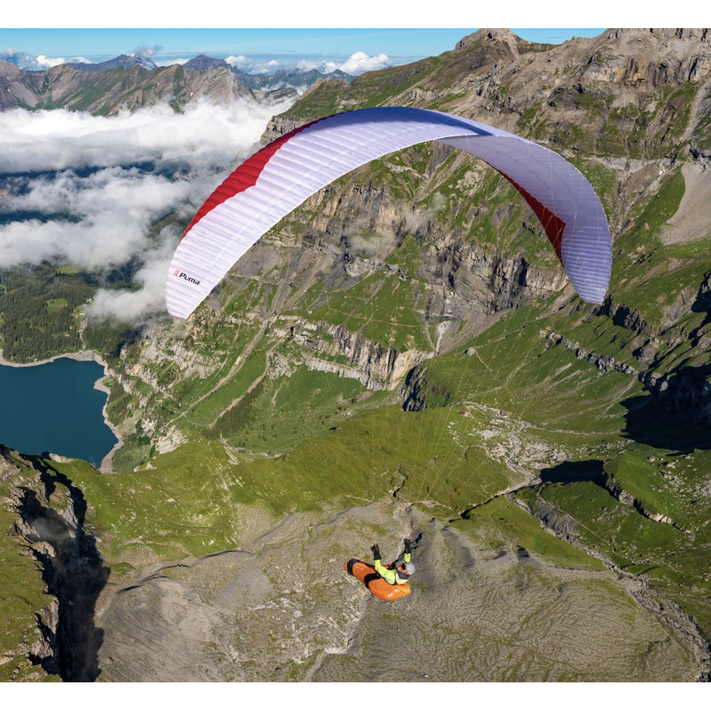 Horizon Millau - Puma Gin