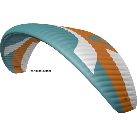 Horizon Millau - Arak 2 Skywalk parapente