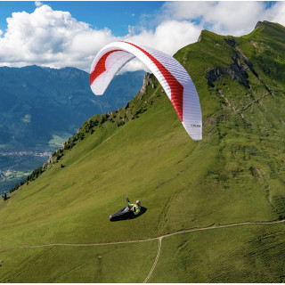 Horizon Millau - Puma Gin