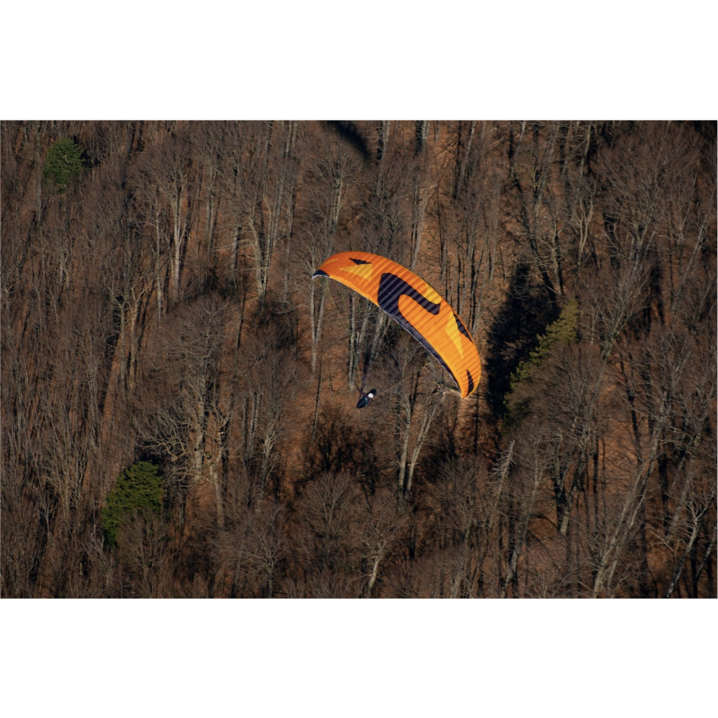 Horizon Millau - Carancho Sky Paragliders
